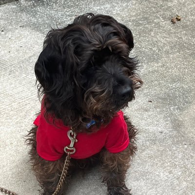 sNjEbhKZ1GoLs70's profile picture. 