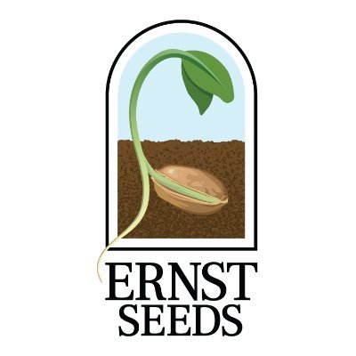 ErnstSeeds Profile Picture