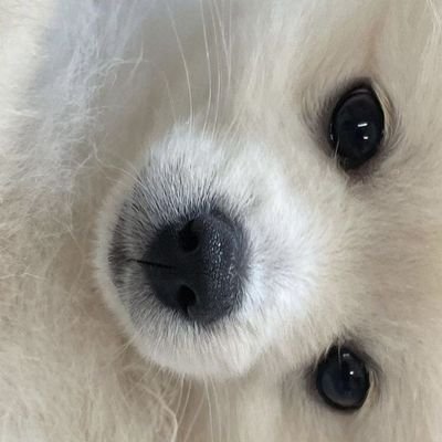 a_doxsmargot's profile picture. 