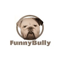 FunnyBully(@FunnyBully_NFT) 's Twitter Profile Photo