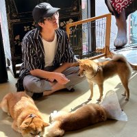 Curtis Yee (@curtisfyee) 's Twitter Profile Photo Curtis Yee (@curtisfyee) 's Twitter Profile Photo