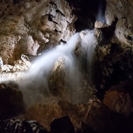 WeaveWildWisdom's profile picture. Context: growing a brain structure capable of perceiving and translating a universal multi-perspective BIG LANGUAGE of consciousness, evolution and forces.