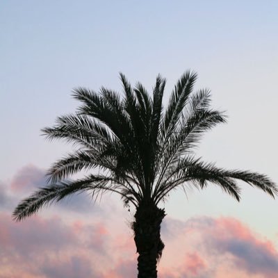 اللهم طيب الحياة وطيب الأثر  .. https://t.co/nMmf6DGO0N