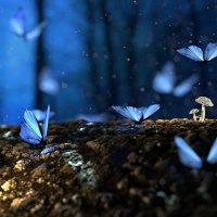 chev obering (@chevobering) 's Twitter Profile