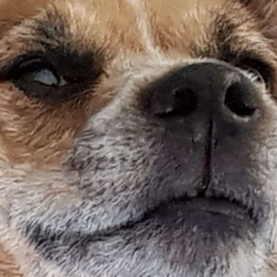Gwoppy Profile