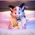 Robin (@yourfoxrobin) Twitter profile photo Robin (@yourfoxrobin) Twitter profile photo