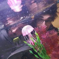 lppwift ๐๐ (@tfiwppl) 's Twitter Profile