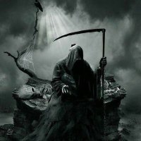 21_Night (@albertf77428616) 's Twitter Profile