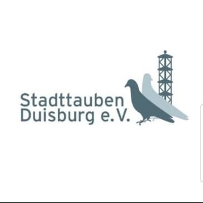 Wir sind eine Gruppe von Menschen, die eine tierschutzgerechte Populationskontrolle der Stadttauben in Duisburg als Ziel haben.