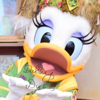 み(@DaisyResort0109) 's Twitter Profile Photo