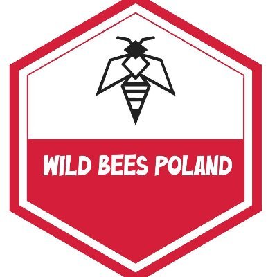WildBeesPoland's profile picture. Remeber to help us with 💸, we could print more bonking stuff for  🇺🇦 soldiers! 

https://t.co/qWwHWcqDcA