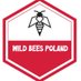 Wild Bees Poland (@wildbeespoland) Twitter profile photo Wild Bees Poland (@wildbeespoland) Twitter profile photo