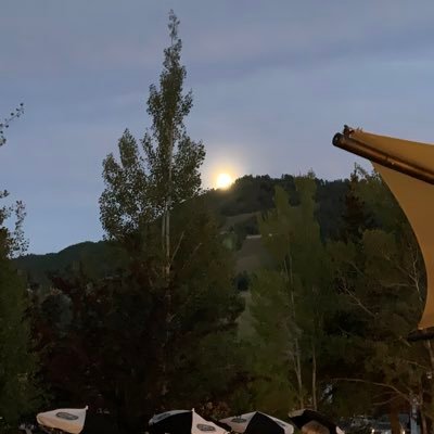 mrusset123543's profile picture. 