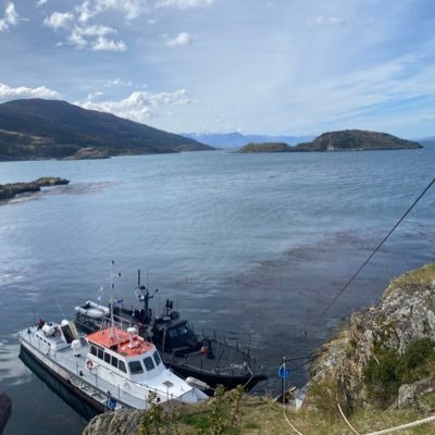 Grupo de investigador@s y becari@s estudiando sistemas marinos polares y subpolares en @CadicUshuaia