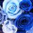 renka9_ken