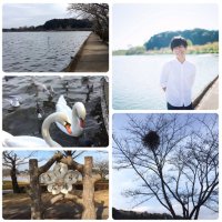 ひまわり❤︎*🦢☆彡 (@iso_himawari) 's Twitter Profile Photo ひまわり❤︎*🦢☆彡 (@iso_himawari) 's Twitter Profile Photo