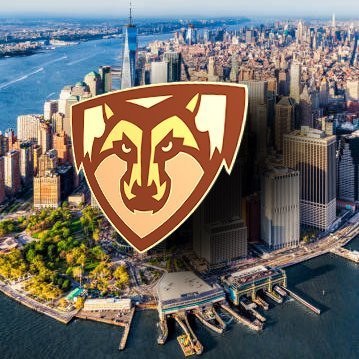 The Official Twitter account of the SBU NYC Metro Alumni. Go Bonnies!