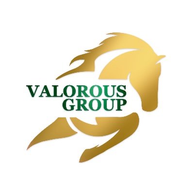 ValorousGrpInc Profile Picture