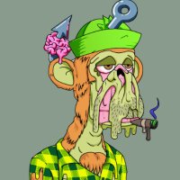 Talip 🛸 (@talip4114) 's Twitter Profile