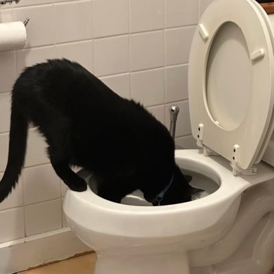 emmerbugs's profile picture. bitch, lover, child, mother