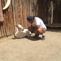 Luis (@cloutlessluis) 's Twitter Profile