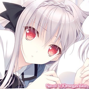 抹茶んさんのプロフィール画像