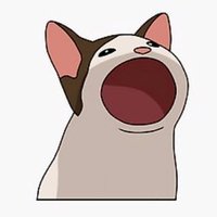 Ruiqi Wu (@wuruiqi96158) 's Twitter Profile Photo Ruiqi Wu (@wuruiqi96158) 's Twitter Profile Photo