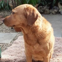 Mike Reynolds (@mikereynolds8) 's Twitter Profile Photo Mike Reynolds (@mikereynolds8) 's Twitter Profile Photo