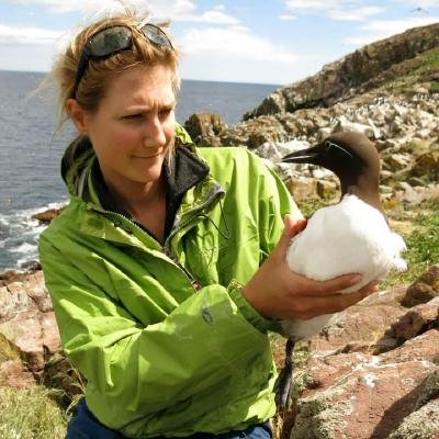 Research scientist w @ECCCSciTech | #seabirds #cumulativeeffects #decisionscience #HPAI #scicomm | I speak for myself. she/her