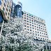 Ascension Saint Joseph Internal Medicine Residency (@saintjoseph_im) Twitter profile photo Ascension Saint Joseph Internal Medicine Residency (@saintjoseph_im) Twitter profile photo