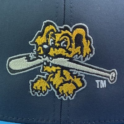 88_riverdawgs's profile picture. 2022 North Area Champions                 2022 Third Place in States