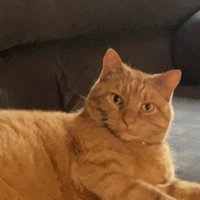 Theo Titus (@theoswiss2004) 's Twitter Profile