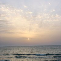 Ghadeer Zaqout (@ghadeerzaqout1) 's Twitter Profile