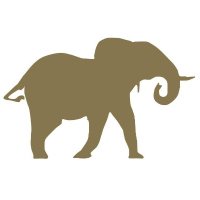 Space For Giants - Gabon (@sfggabon) 's Twitter Profile