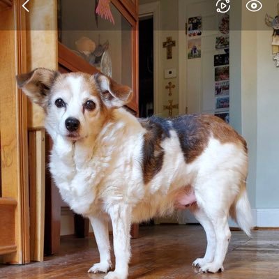 Brew2266's profile picture. 