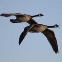 dean sands - @deansands797559 - Twitter