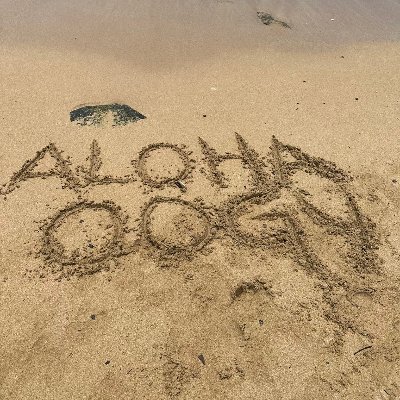 Spreading a little Aloha around the world on Oogy at a time! Where all nationalities are one  🤙🏽 Discord link below. @oogynft @alohaoogy