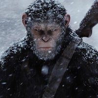 Trey Blair (@treyblair5) 's Twitter Profile Photo