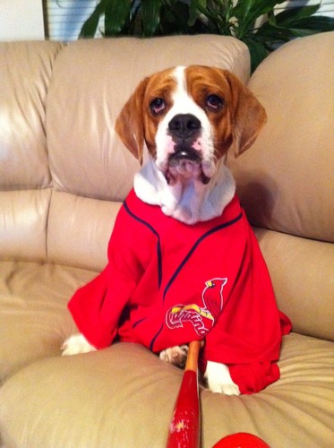 AsToldByBelle's profile picture. The official Twitter account of Belle Waller. ™