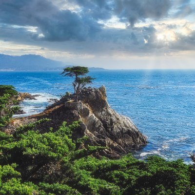 JohnnyUtahN9's profile picture. BSV is Bitcoin and Golf.