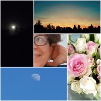 Ironmoon44 (@ironmoon44) 's Twitter Profile Photo Ironmoon44 (@ironmoon44) 's Twitter Profile Photo