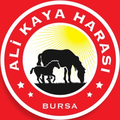 Bursa Karacabey Yarışatı yetiştiriciliği