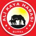 ALİ KAYA HARASI (@alikayastud) Twitter profile photo ALİ KAYA HARASI (@alikayastud) Twitter profile photo