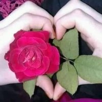 Soha Saim (@soha35saim37) 's Twitter Profile
