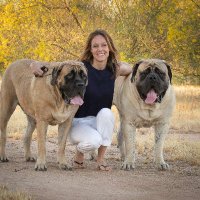 Big Dog Mom(@BigDogMomUSA) 's Twitter Profileg