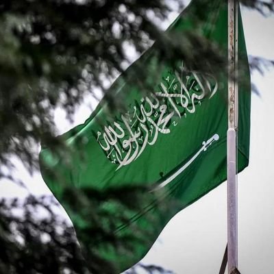 Asmaaboser's profile picture. ♡

            #أّذکْر_أّഡ ❤
🌹🖤