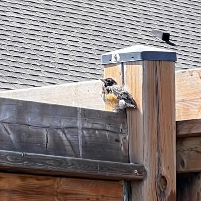 KKf85889784's profile picture. 