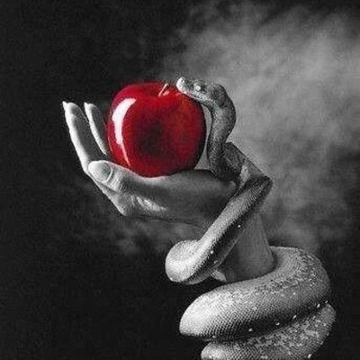 Take a Bite of The Apple and Reveal Your Fate | The Hottest, Newest Findom Discord with Direct In-Server Payments, verified dommes/subs and more.