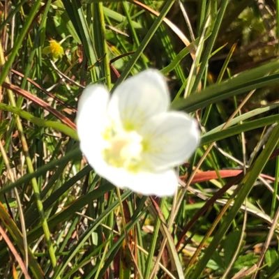 AlisonBertlin's profile picture. 