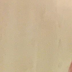 Andy__PTR's profile picture. 